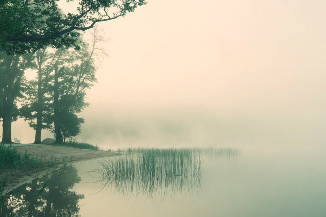 KIN2266_blog_landscape_900x600